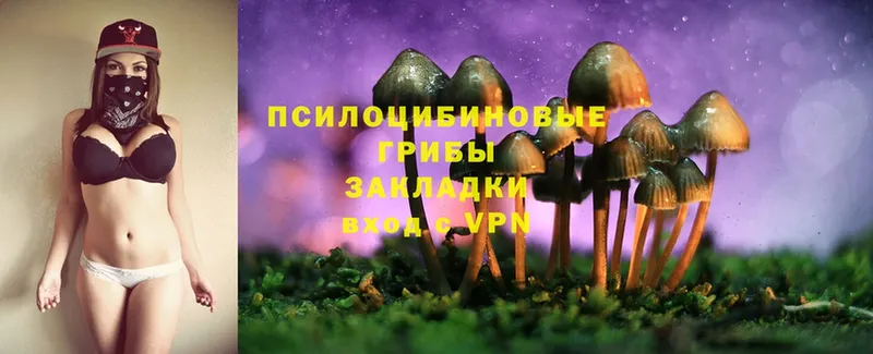 Галлюциногенные грибы MAGIC MUSHROOMS  Стрежевой 