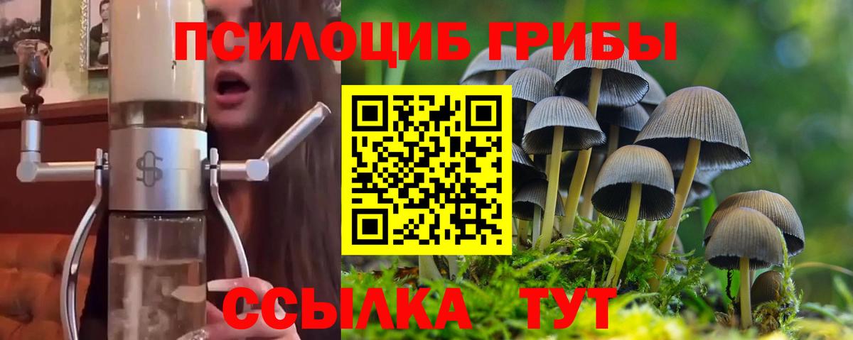 Галлюциногенные грибы Psilocybine cubensis Стрежевой