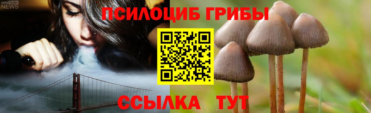 Стрежевой  Псилоцибиновые грибы GOLDEN TEACHER  Галлюциногенные грибы прущие грибы  Вход с VPN 